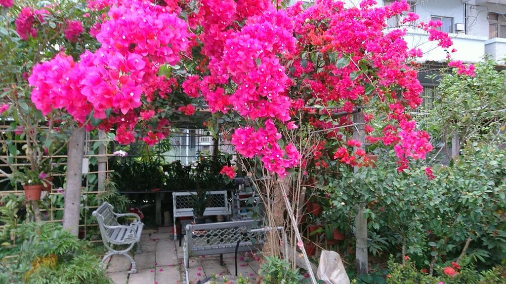 Garden Hostel Minxiong Εξωτερικό φωτογραφία